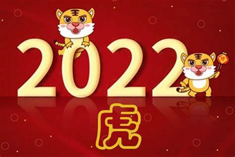 2023年是什么命